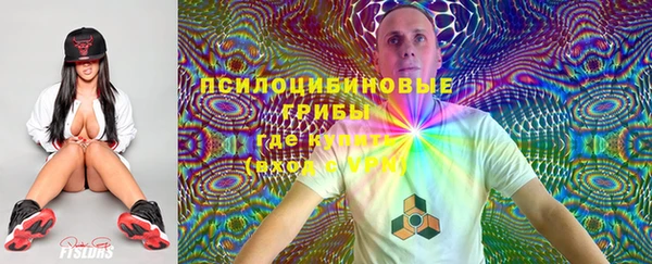 кокс Алзамай