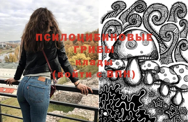 молекула духа Осташков
