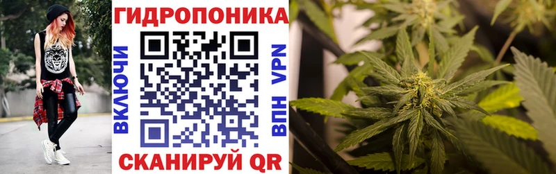 Каннабис AK-47 цена Суровикино